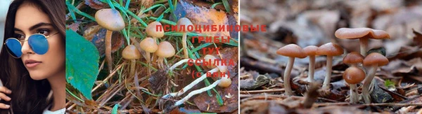 ешки Алексин