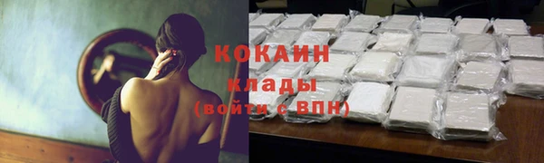 ешки Алексин