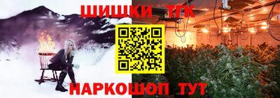 прущие грибы Кандалакша