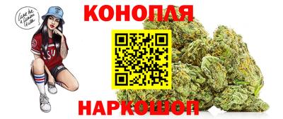 мяу мяу мука Канаш