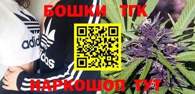 прущие грибы Кандалакша