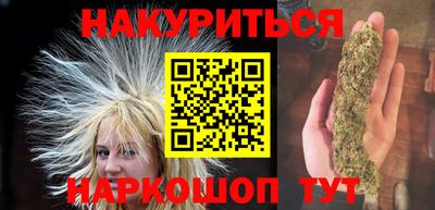 прущие грибы Кандалакша