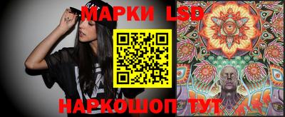 прущие грибы Кандалакша
